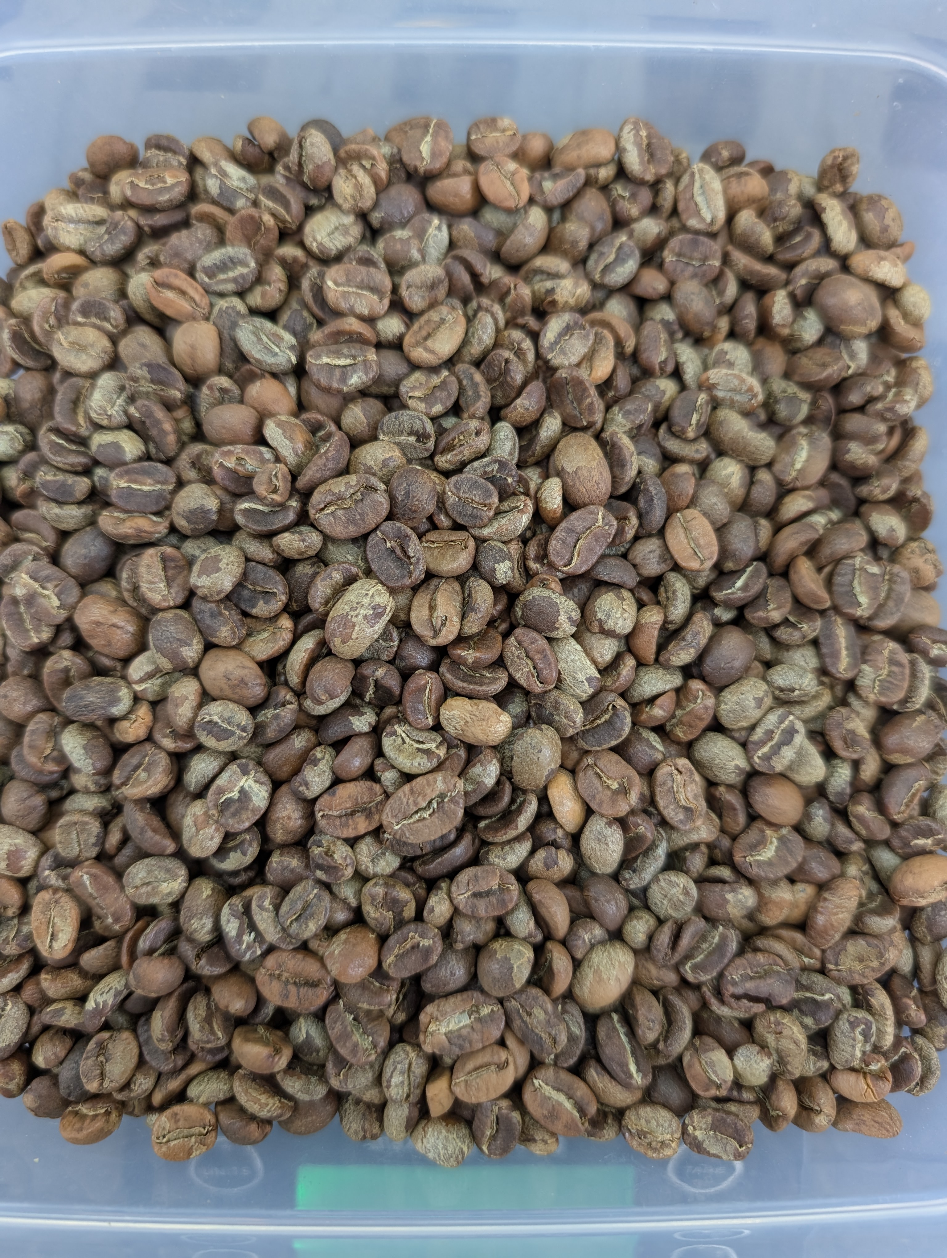 Cooled, roasted beans for 005 — Guatemala Huehuetenango Unión Cantinil