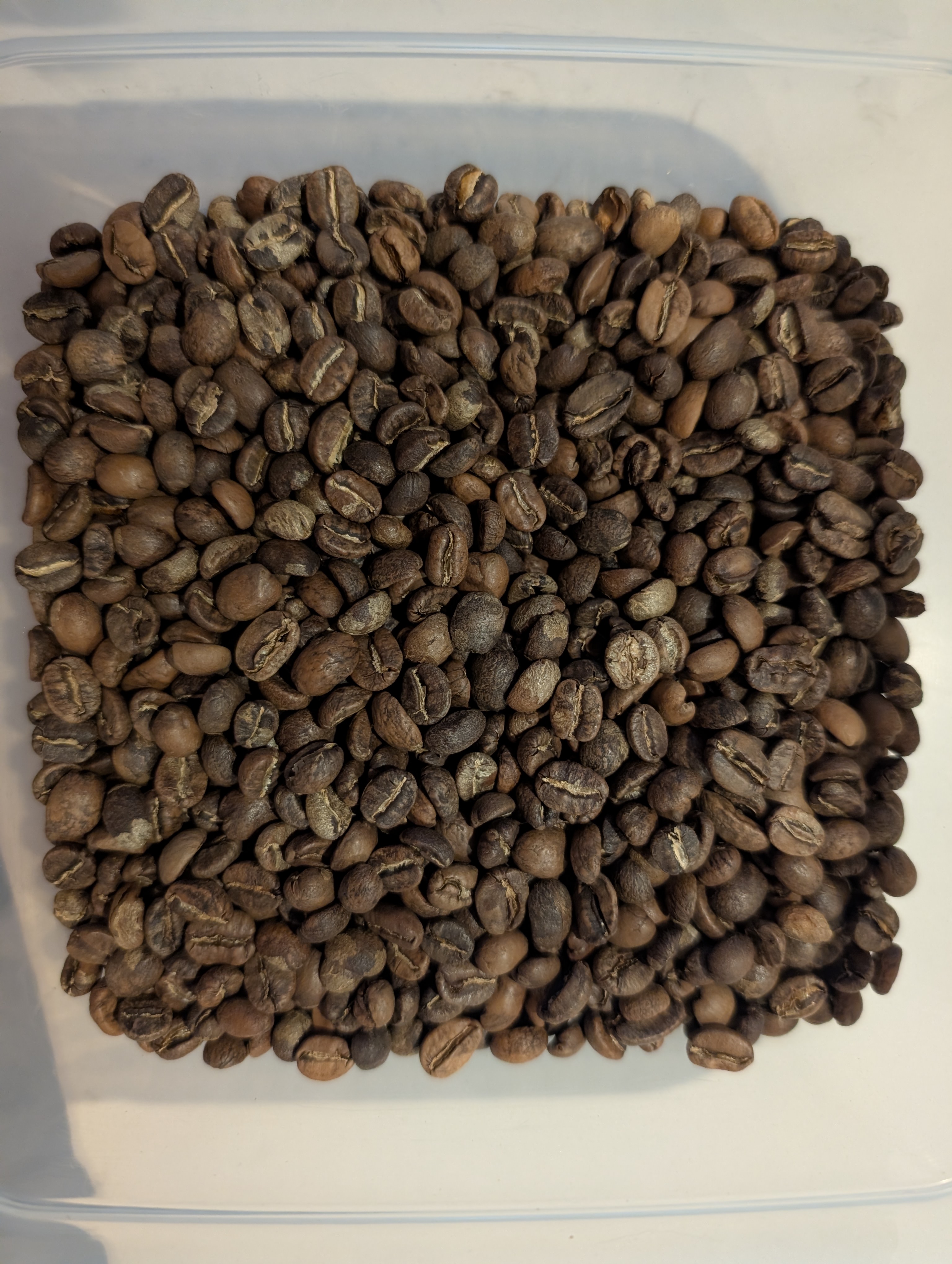 Cooled, roasted beans for 010 — Guatemala Huehuetenango Rolando Sanchez (Full City+, pushed longer)