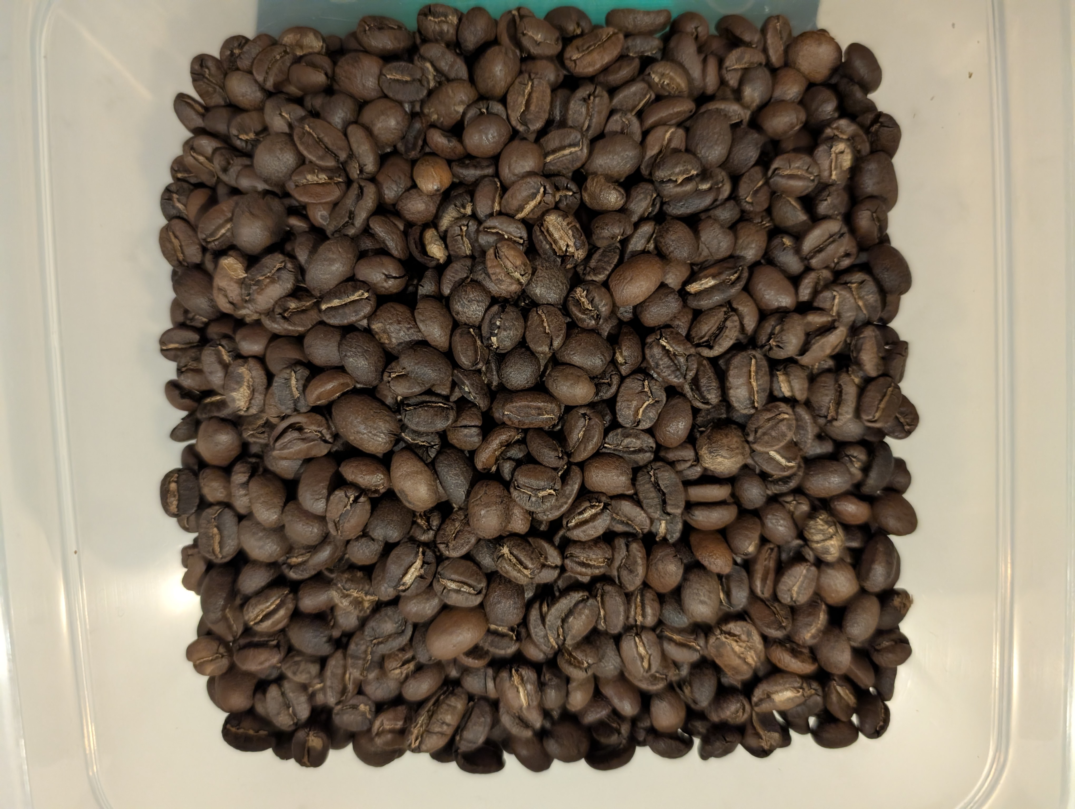 Cooled, roasted beans for 011 — Guatemala Huehuetenango Rolando Sanchez