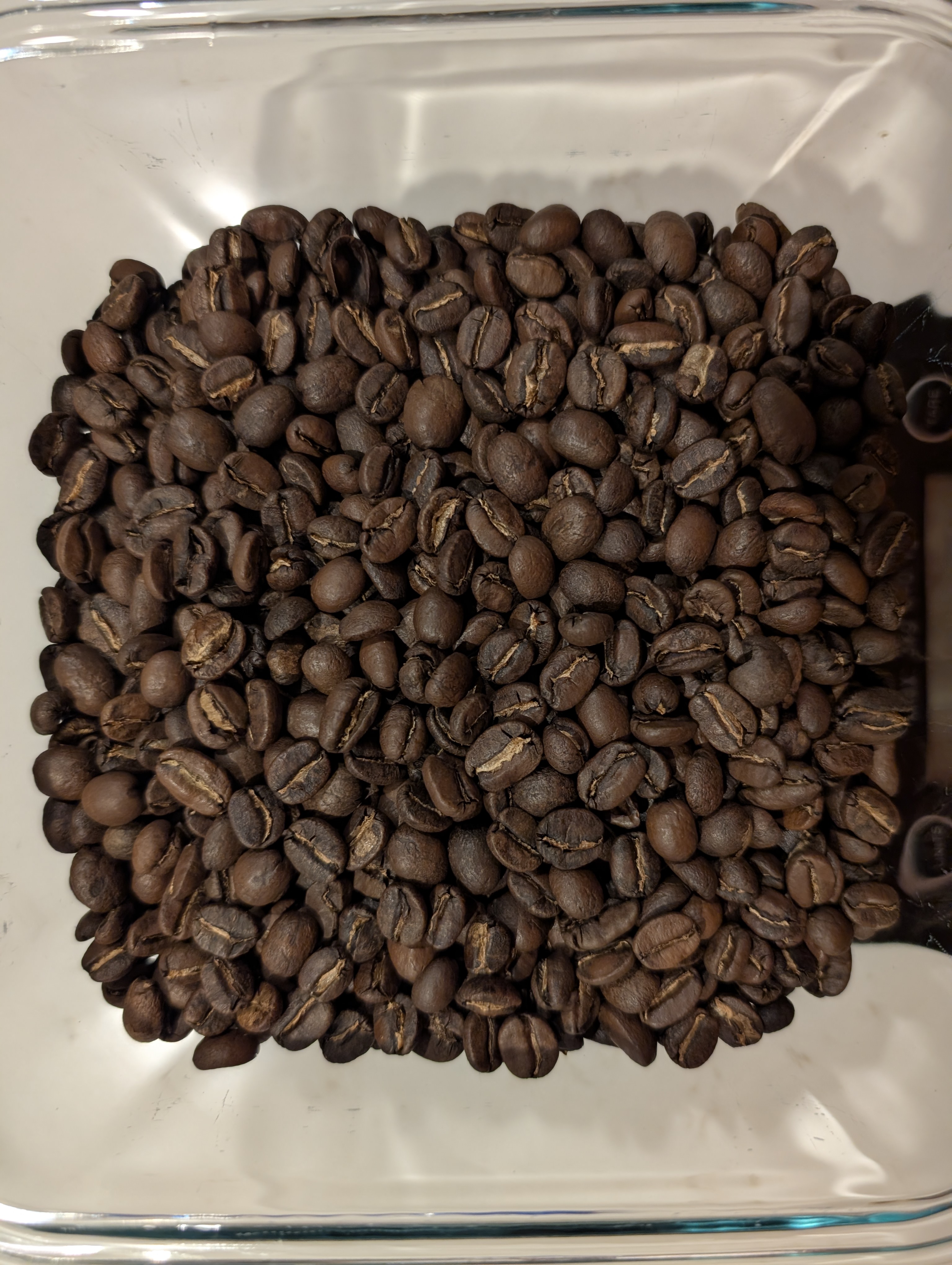 Cooled, roasted beans for 012 — Guatemala Huehuetenango Rolando Sanchez